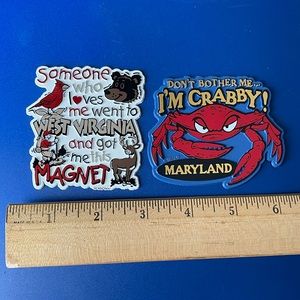 Set of 4 Big Map State Magnets